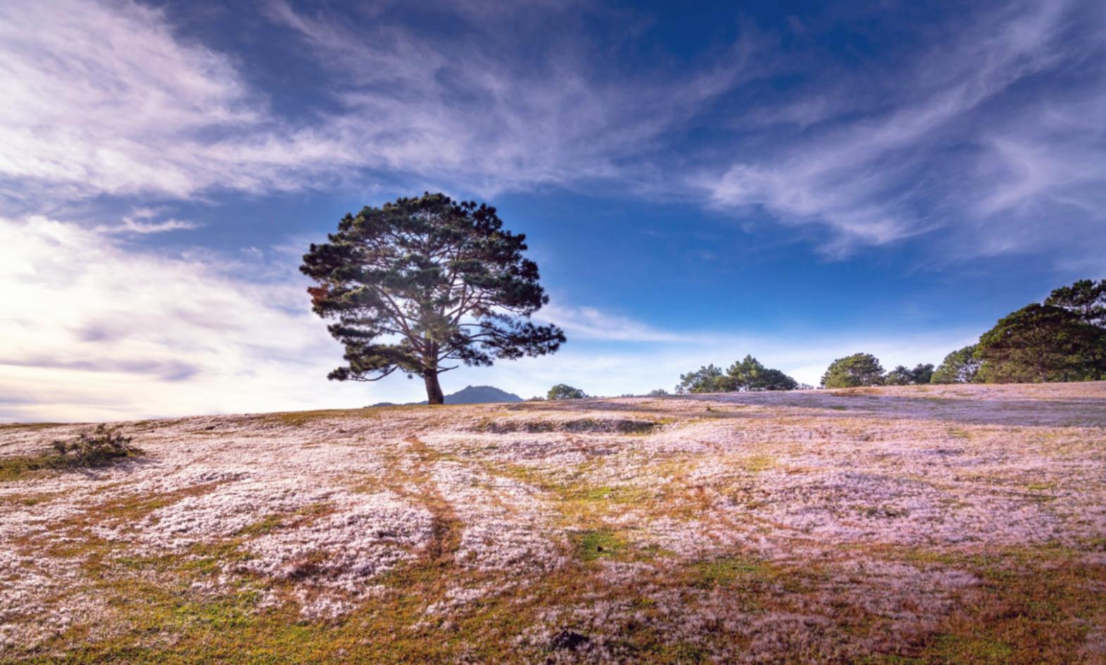Район нашего офиса в Шымкенте